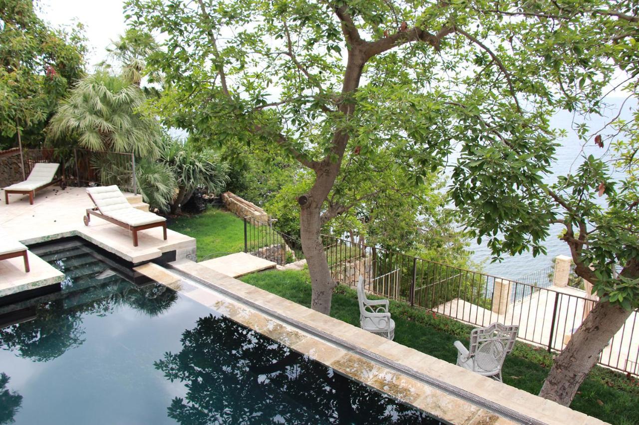 El Jardin Botanico Villa Luz Алтеа Екстериор снимка