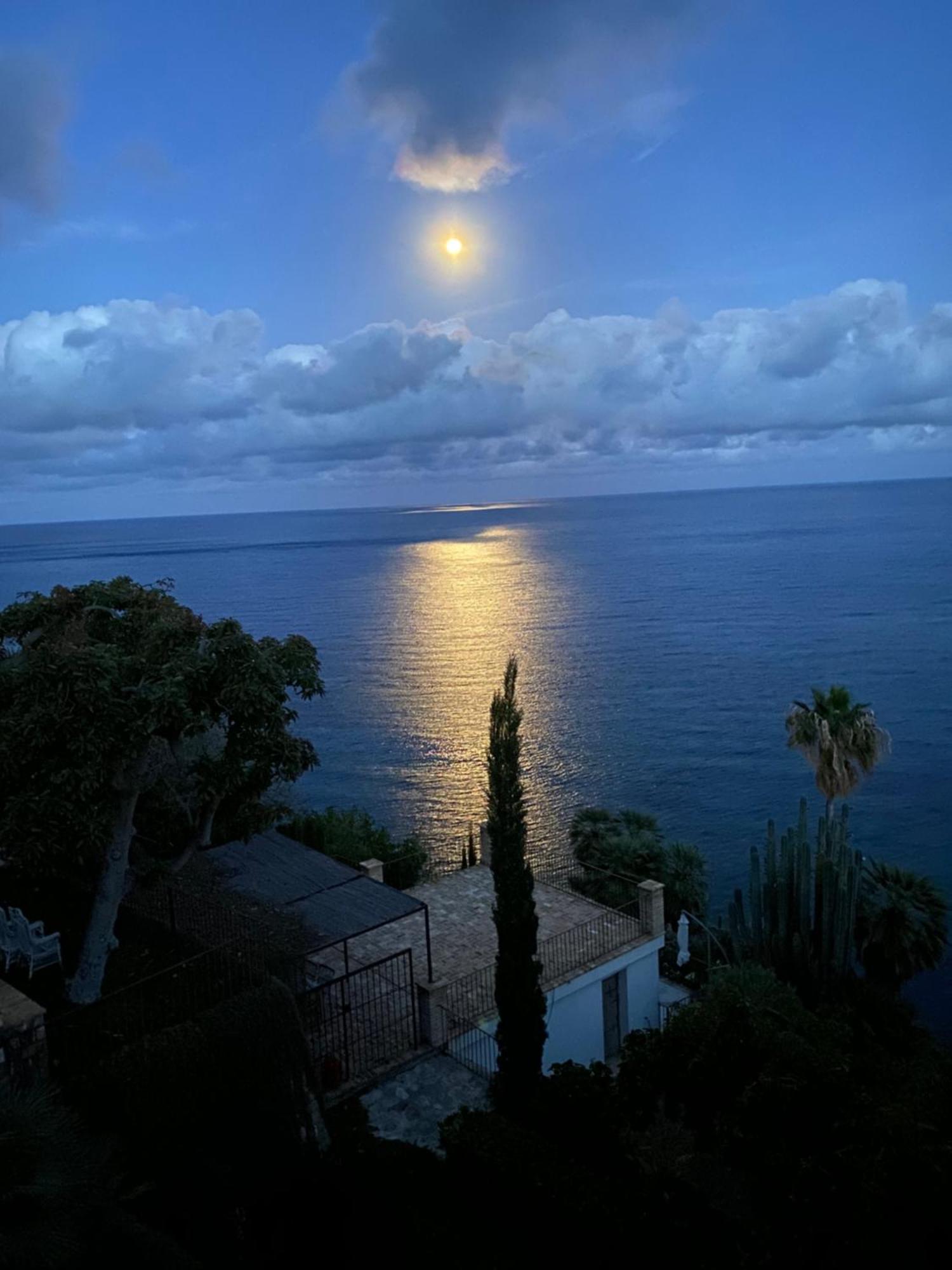 El Jardin Botanico Villa Luz Алтеа Екстериор снимка