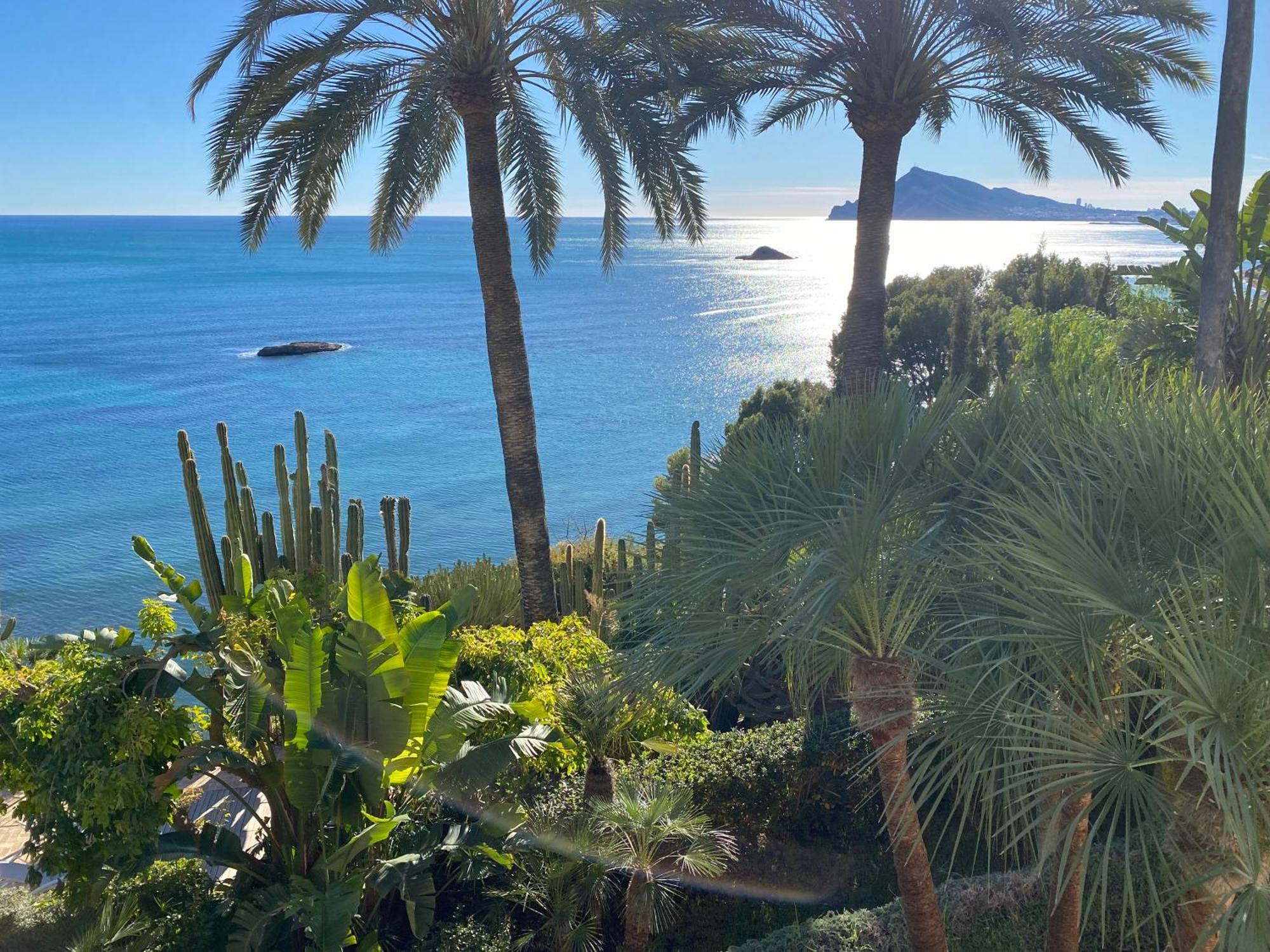 El Jardin Botanico Villa Luz Алтеа Екстериор снимка